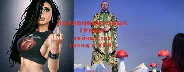 ГАЛЛЮЦИНОГЕННЫЕ ГРИБЫ Аркадак