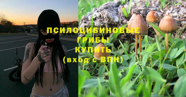 Альфа ПВП Армянск