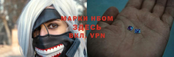 ГАЛЛЮЦИНОГЕННЫЕ ГРИБЫ Аркадак