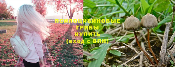 кокс Арсеньев