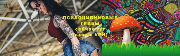 кокс Арсеньев