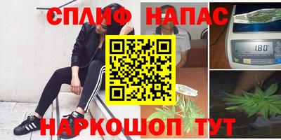 гидропоника Гагарин
