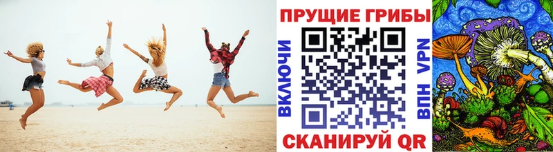 Псилоцибиновые грибы GOLDEN TEACHER нарко площадка официальный сайт Усть-Джегута купить наркоту